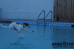 SONY DSC