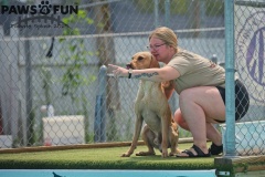 NADD Tailgate Splash 2025